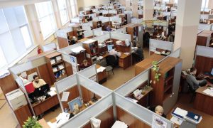 employees