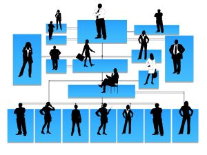 How to Build Scalable Organizational Structures