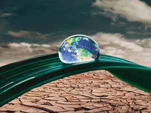 Klarna Backs Climate Resilience